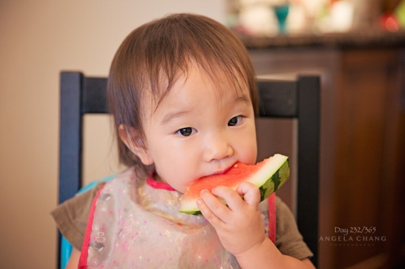 She has passed up on all her meals in favor of watermelon this week.